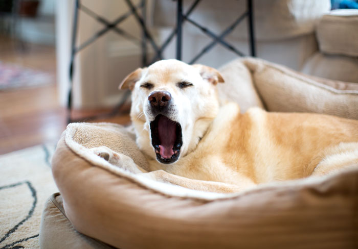 ::  monday is upon us again - time to wake up and smell the coffee  ::