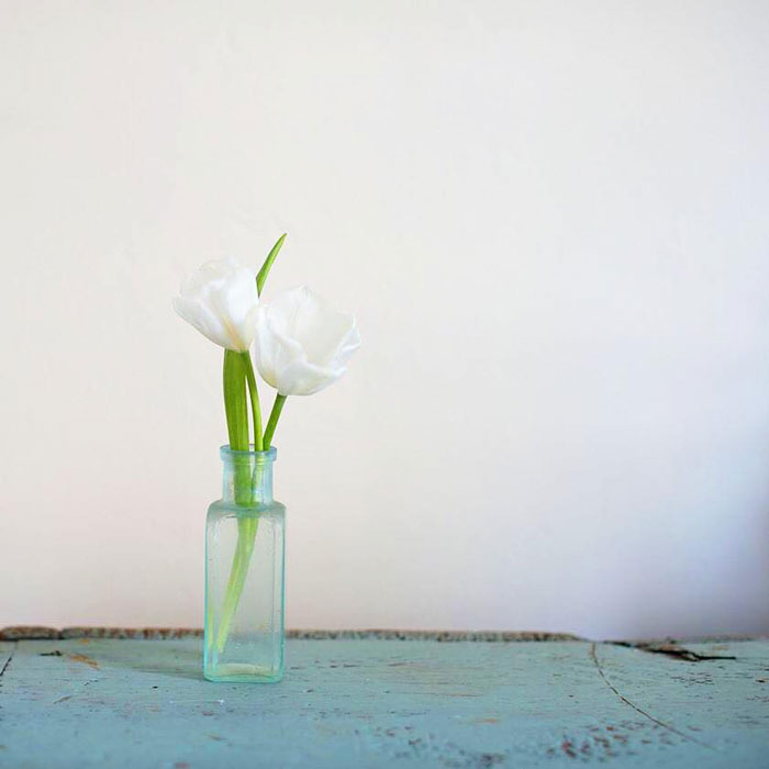 |  reminders of Spring  |