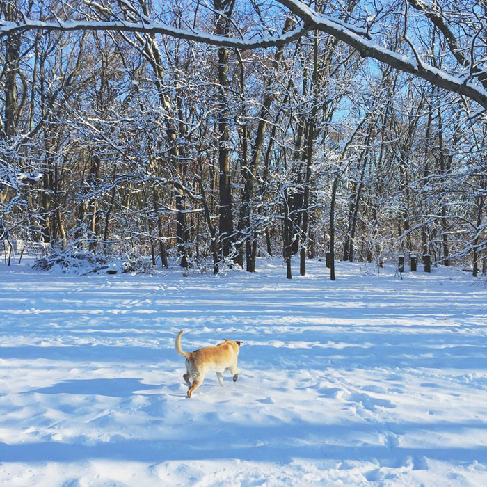 | the first "big" snow of the season* |