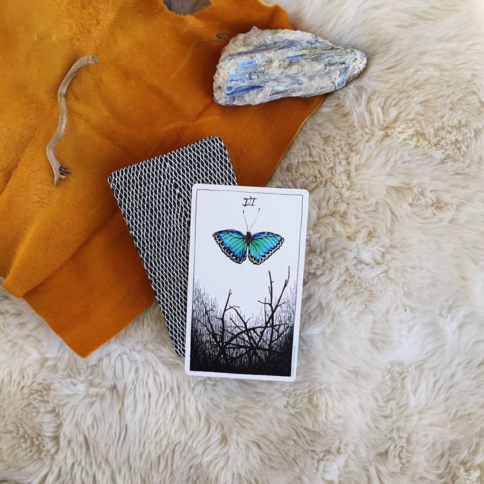 | loving this new deck from the wild unknown |