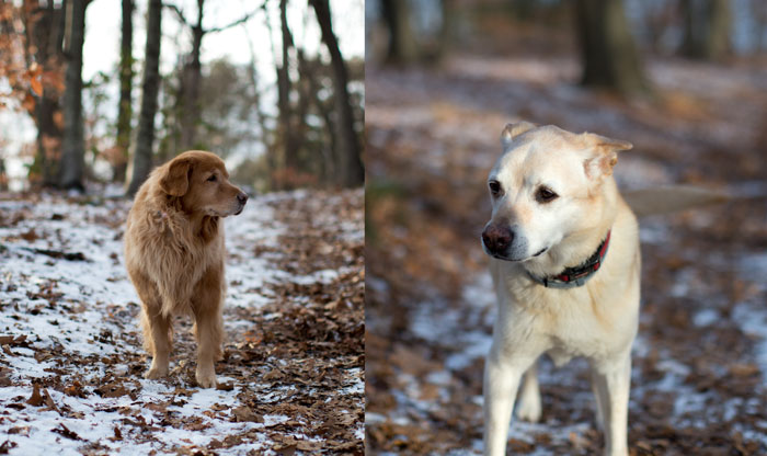 ::  these two, they just melt my heart  ::