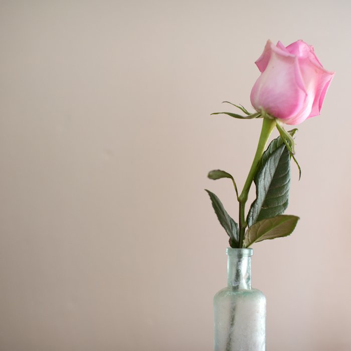 Oh the sweet, sweet smell of roses reminds me of being by the ocean.