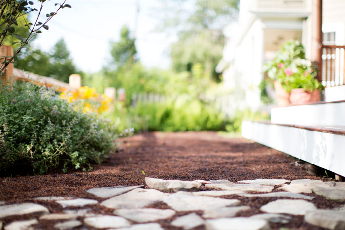 |  a little garden magic here at Squam HQ | 