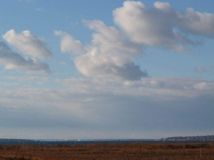 beach2_jan_3_2015