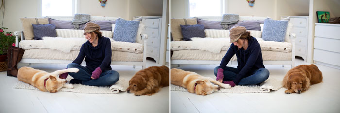 dogs_composite_2