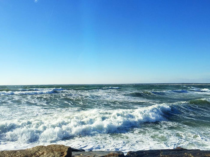 |  driving over the causeway to Gooseberry Island  |