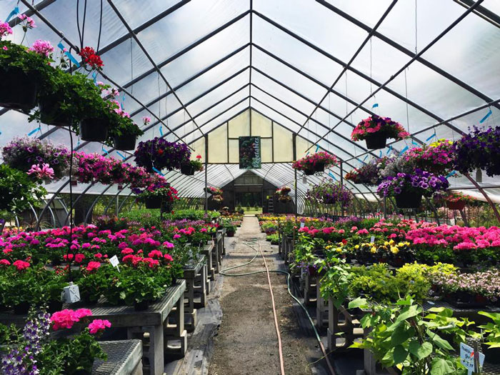 |  a gardner's paradise  |