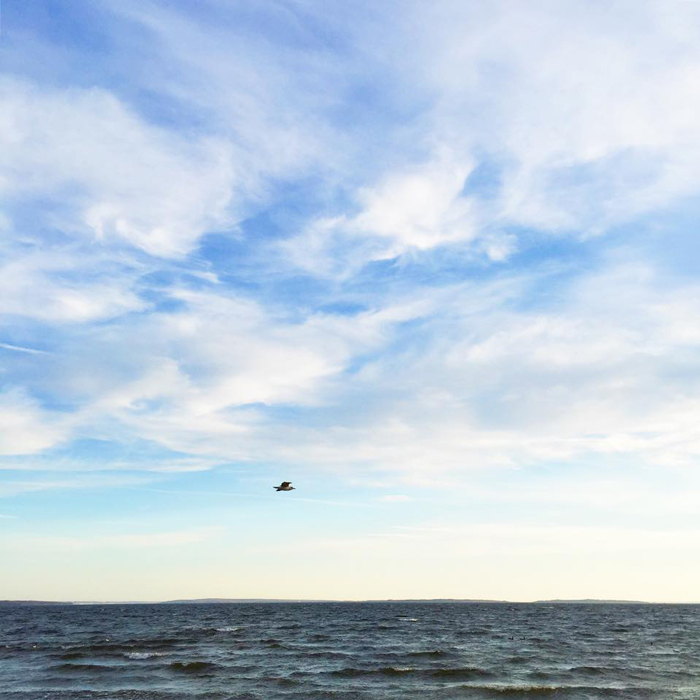 Dancing in the wind.