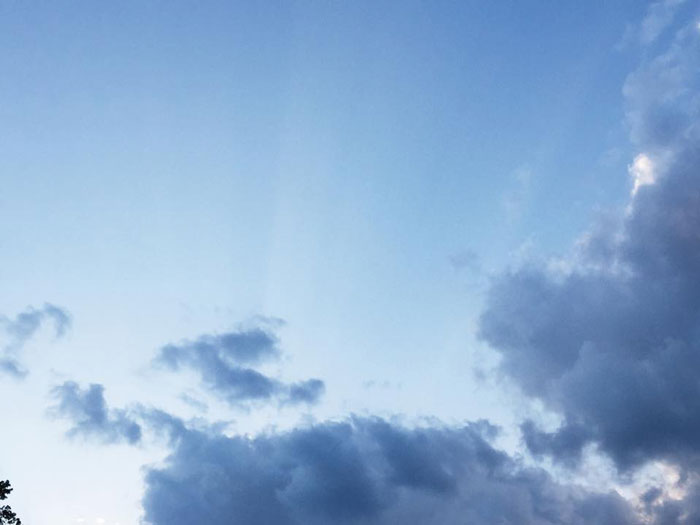 |  evening sky  | 